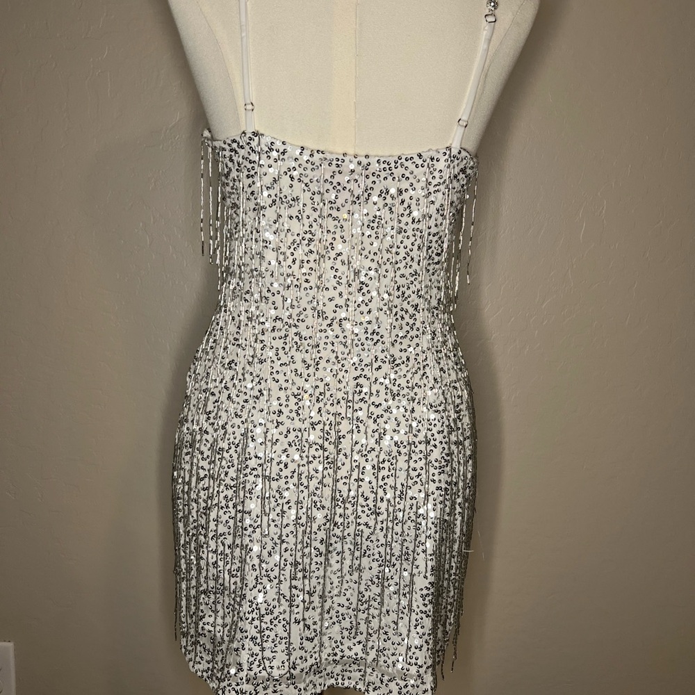 The Sparks Fly Mini Dress | Silver Beaded Fringe | Show Me Your Mumu - Picture 13 of 16